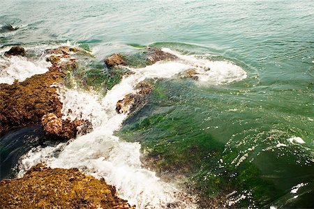 simsearch:625-00804353,k - High angle view of a rock formation in the sea, La Jolla Reefs, San Diego Bay, California, USA Foto de stock - Sin royalties Premium, Código: 625-00806372