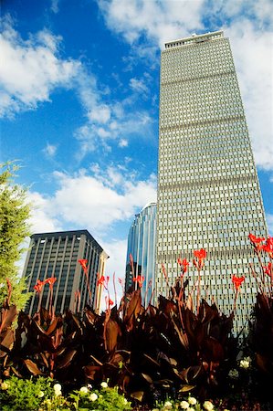 simsearch:625-00805538,k - Low angle view of buildings in a city, Prudential Tower, Boston, Massachusetts, USA Foto de stock - Sin royalties Premium, Código: 625-00806385