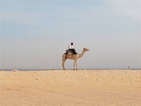 Side profile of a man riding a camel Stock Photo - Premium Royalty-Free, Code: 625-00806485