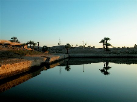 simsearch:625-00806113,k - Reflection of palm trees in water Temples Of Karnak, Luxor, Egypt Stock Photo - Premium Royalty-Free, Code: 625-00806495