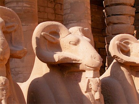 Close-up of three ram statues in a temple, Temples Of Karnak, Luxor, Egypt Stock Photo - Premium Royalty-Free, Code: 625-00806524
