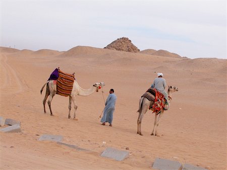 Rear view of a man riding a camel Stock Photo - Premium Royalty-Free, Code: 625-00806532