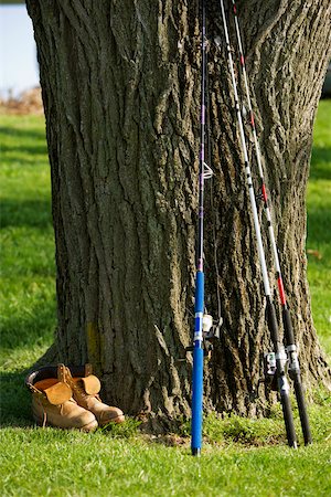 Angelruten an einen Baum gelehnt Stockbilder - Premium RF Lizenzfrei, Bildnummer: 625-00800897