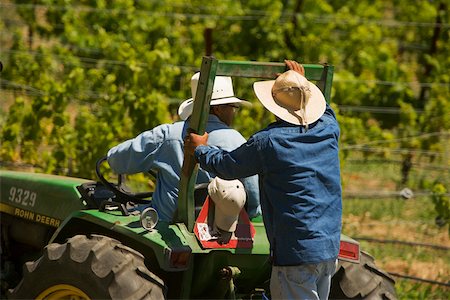 Rear view of two farmers on a tractor Foto de stock - Sin royalties Premium, Código: 625-00801413