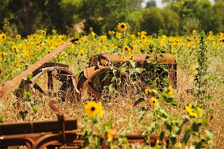 simsearch:625-00837461,k - Close-up of a harvester in a cultivated field Fotografie stock - Premium Royalty-Free, Codice: 625-00801438