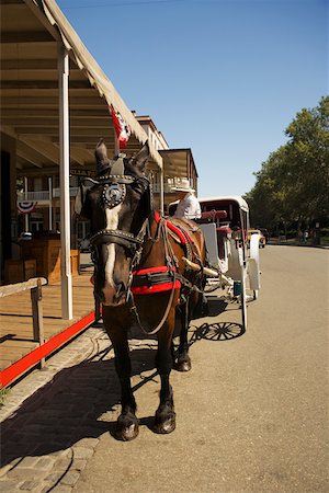 simsearch:625-00903515,k - Chariot de cheval dans une rue Photographie de stock - Premium Libres de Droits, Code: 625-00801441