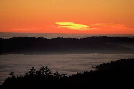 simsearch:625-00805213,k - Vue d'angle élevé des nuages autour d'une colline, mont Tamalpais State Park, Californie, USA Photographie de stock - Premium Libres de Droits, Code: 625-00801531