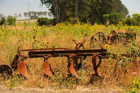 simsearch:625-00837461,k - Close-up of a harvester in a cultivated field Fotografie stock - Premium Royalty-Free, Codice: 625-00801635