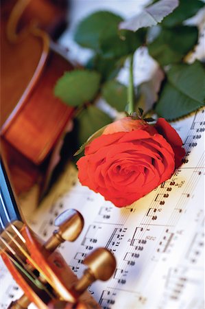 still life violin - Red rose, violin and sheet music, close-up Stock Photo - Premium Royalty-Free, Code: 625-00801800