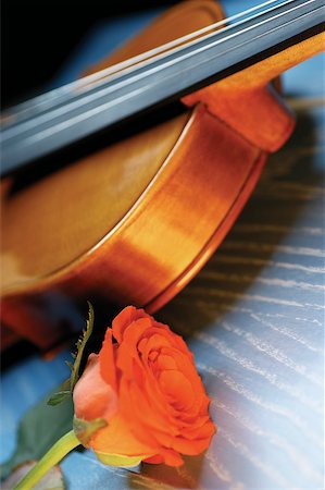 still life violin - Red rose and violin, close-up Stock Photo - Premium Royalty-Free, Code: 625-00801802