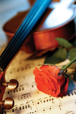 still life violin - Red rose, violin and sheet music, close-up Stock Photo - Premium Royalty-Free, Code: 625-00801859