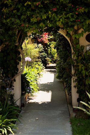 shrubs walkway - Ivy couverts passage arqué Photographie de stock - Premium Libres de Droits, Code: 625-00802078