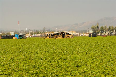 Group of people working in a farm Stock Photo - Premium Royalty-Free, Code: 625-00802212