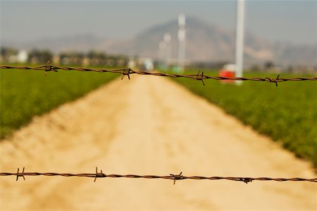 Close-up of a barbed wire fence on a farm Stock Photo - Premium Royalty-Free, Code: 625-00802213