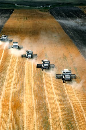 smoke dust - Aerial view of custom harvest combines harvesting wheat, five combines in a role, WY Stock Photo - Premium Royalty-Free, Code: 625-00837489