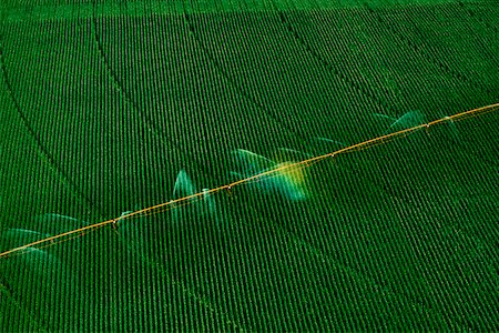 simsearch:625-00837403,k - Central pivoit irrigation system, shot from above, Nebraska Foto de stock - Sin royalties Premium, Código: 625-00837495