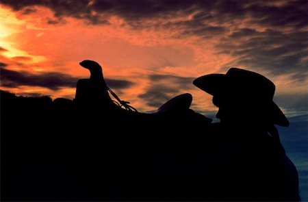 selle (cheval) - Silhouette d'une personne debout à côté d'un cheval Photographie de stock - Premium Libres de Droits, Code: 625-00848856