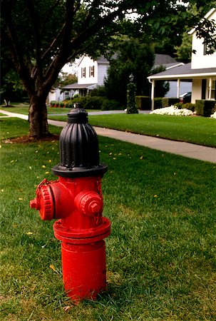simsearch:625-00840375,k - Red fire hydrant in suburban Maryland Foto de stock - Royalty Free Premium, Número: 625-00840402