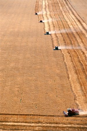 simsearch:625-00837403,k - Aerial view of wheat harvest and combines in a background, Burlington, Colorado Foto de stock - Sin royalties Premium, Código: 625-00840414