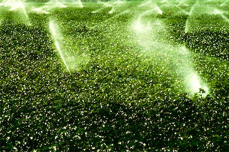 High angle view of sprinklers spraying water on a field Stock Photo - Premium Royalty-Free, Code: 625-00840634