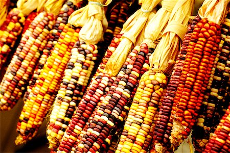 simsearch:625-00837425,k - Close-up of corn hanging Stock Photo - Premium Royalty-Free, Code: 625-00840637