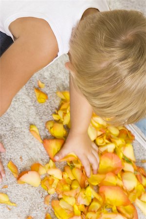 High angle view of a boy picking rose petals Stock Photo - Premium Royalty-Free, Code: 625-00842195