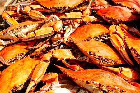 Close-up of a heap of crabs, Annapolis, Maryland, USA Stock Photo - Premium Royalty-Free, Code: 625-00898589