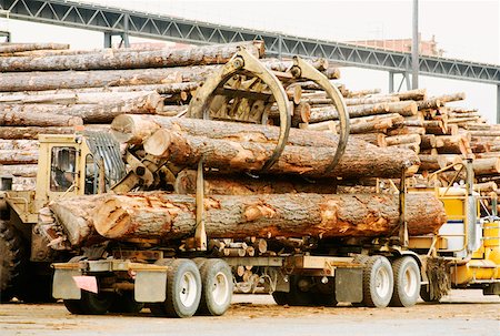 Semi-truck unloading logs, Reedsport, Oregon, USA Stock Photo - Premium Royalty-Free, Code: 625-00899064
