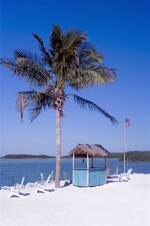Adirondack chairs on the beach near a palm tree, Miami, Florida, USA Stock Photo - Premium Royalty-Free, Code: 625-00903170