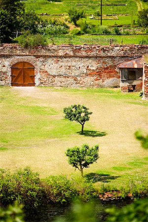 High angle view of trees on a field, Czech Republic Stock Photo - Premium Royalty-Free, Code: 625-00903621