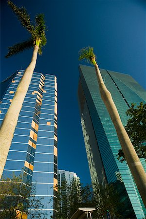 simsearch:625-01039978,k - Low angle view of skyscrapers, Miami, Florida, USA Foto de stock - Sin royalties Premium, Código: 625-01039995