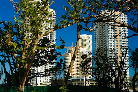 simsearch:625-01262979,k - Low angle view of buildings behind trees, Miami, Florida, USA Foto de stock - Sin royalties Premium, Código: 625-01040036