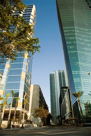 simsearch:625-00903696,k - Low angle view of skyscrapers, Miami, Florida, USA Foto de stock - Sin royalties Premium, Código: 625-01040033