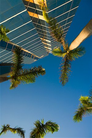 simsearch:625-01040059,k - Low angle view of a skyscraper, Miami, Florida, USA Fotografie stock - Premium Royalty-Free, Codice: 625-01040049