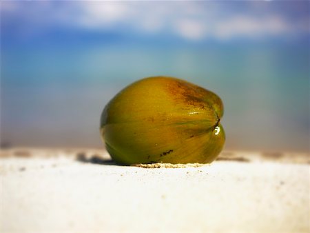 Close-up of a coconut in the sand Stock Photo - Premium Royalty-Free, Code: 625-01040070