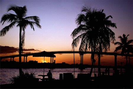 simsearch:625-01041042,k - Palmen und eine Brücke silhouetted gegen den Himmel, Bahamas Stockbilder - Premium RF Lizenzfrei, Bildnummer: 625-01040311