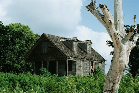 simsearch:625-01041031,k - Vue latérale d'une maison abandonnée au milieu de la verdure, sud d'Eleuthera, Bahamas Photographie de stock - Premium Libres de Droits, Code: 625-01040345