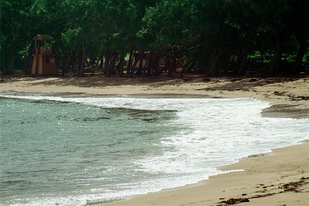 The shoreline of a calm beach with a dense vegetation and a gentle surf, Barbados Stock Photo - Premium Royalty-Free, Code: 625-01040386