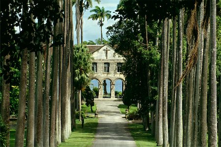 simsearch:625-00840375,k - A boy's private school is seen on a palm lined avenue on the island of Barbados, Caribbean Foto de stock - Royalty Free Premium, Número: 625-01040407