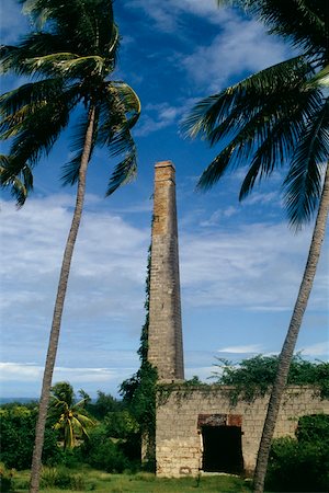 simsearch:625-01041172,k - Low Angle View of einen hohen Schornstein und eine Satellitenschüssel, Barbados, Caribbean Stockbilder - Premium RF Lizenzfrei, Bildnummer: 625-01040400