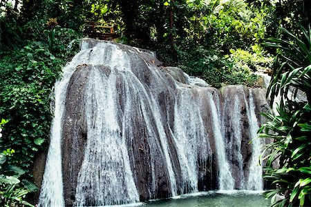 Vue sur l'eau jaillissant de Falls Dunns, Jamaïque Photographie de stock - Premium Libres de Droits, Code: 625-01040824