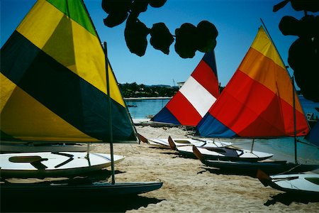 people in jamaica - Side view of brightly colored sails on windsurf boards, Jamaica Stock Photo - Premium Royalty-Free, Code: 625-01040867