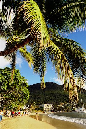 simsearch:625-01041156,k - Beach scene with palm tree on the island of St. Maarten in the Caribbean. Foto de stock - Sin royalties Premium, Código: 625-01040918