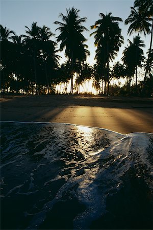 puerto rico beach - Silhouetted palm trees against the sky, Mayaguez beach, Puerto Rico Stock Photo - Premium Royalty-Free, Code: 625-01040933
