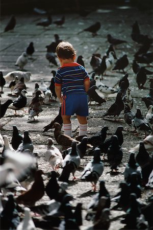 simsearch:700-01993355,k - Rear view of a small boy standing amidst pigeons, San Juan, Puerto Rico Fotografie stock - Premium Royalty-Free, Codice: 625-01040966
