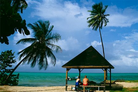 simsearch:625-01041040,k - Rear view of two people in a picnic shelter, Pigeon Point, Tobago, Caribbean Stock Photo - Premium Royalty-Free, Code: 625-01041037