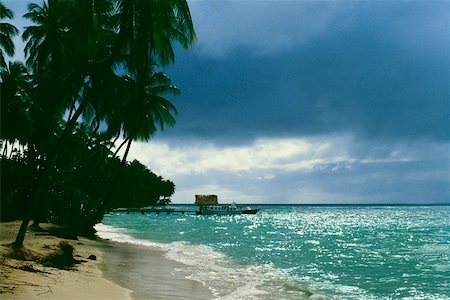 View of a scenic beach lined up by palm trees, Pigeon Point, Tobago, Caribbean Stock Photo - Premium Royalty-Free, Code: 625-01041040