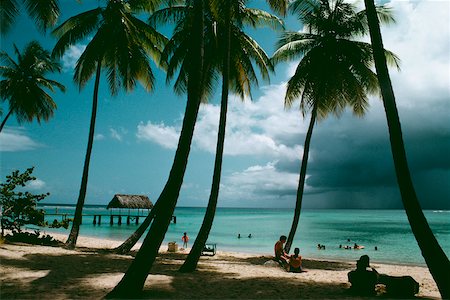 palm tree trunk - View of a scenic beach on a sunny day, Pigeon Point, Tobago, Caribbean Stock Photo - Premium Royalty-Free, Code: 625-01041054