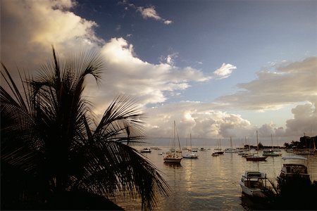 simsearch:625-01041167,k - Boats harbored at Christensted, St. Croix, Virgin Islands Fotografie stock - Premium Royalty-Free, Codice: 625-01041063