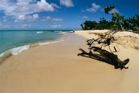 Scenic beach, Buck Island, St. Croix, U.S. Virgin Islands Stock Photo - Premium Royalty-Free, Code: 625-01041075